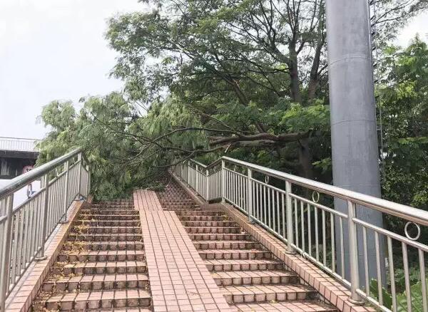 “天鴿”登陸了又怎樣，智彤印刷正常發(fā)放福利！
